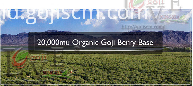 Dasar Natural Goji Berry yang baru New Natural Goji Berry base